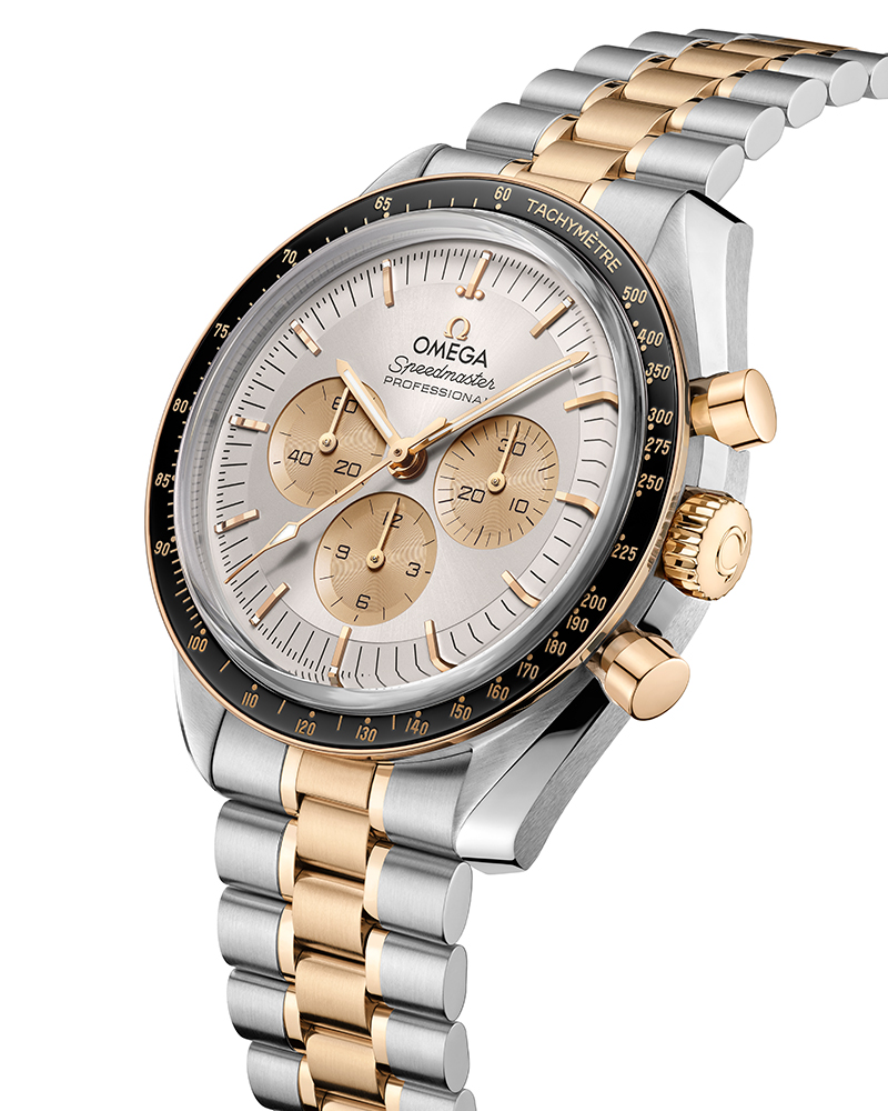 オイカワの剥製　美品　珍作 オアハカの動物たち [VINTAGE OAXACAN WOOD CARVING] | MOTOYA Book